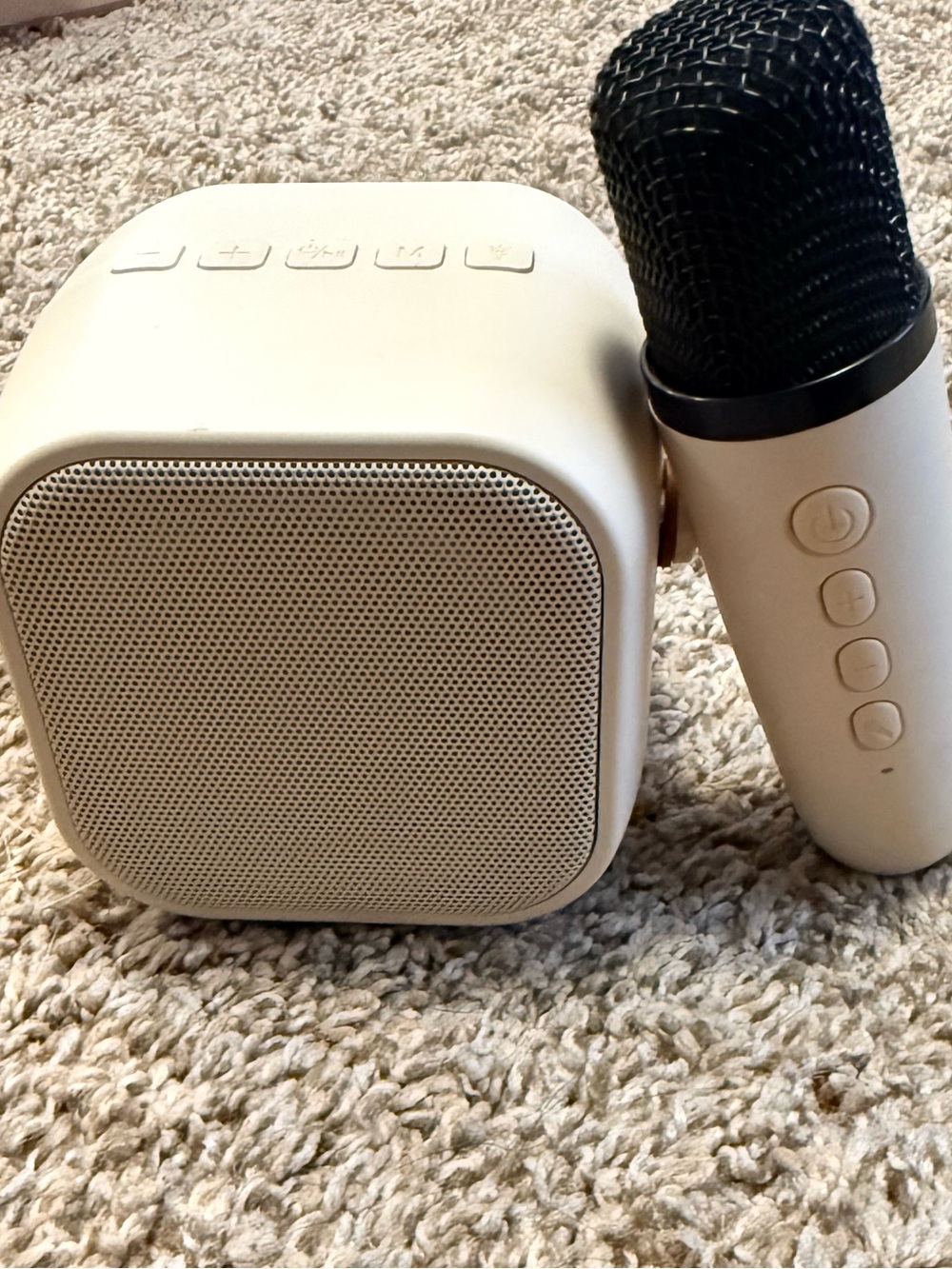 Portable Bluetooth Karaoke Speaker with Wireless Microphone - Cream